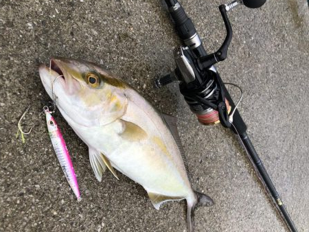 やっと本命をゲット！