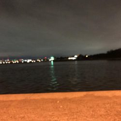 またまたキビレでポン！