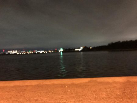 またまたキビレでポン！