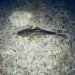 予報に反し爆風