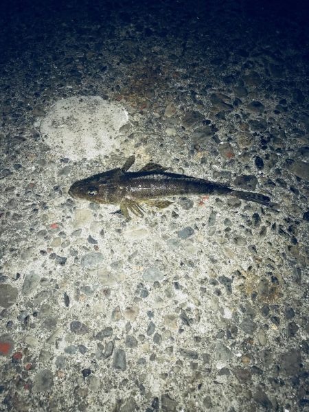 予報に反し爆風