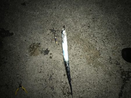 デカサバ求めて