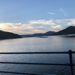 チヌ釣りのはずが…