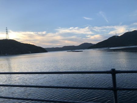 チヌ釣りのはずが…