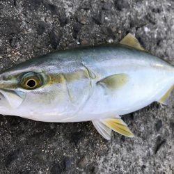 家族旅行の合間に