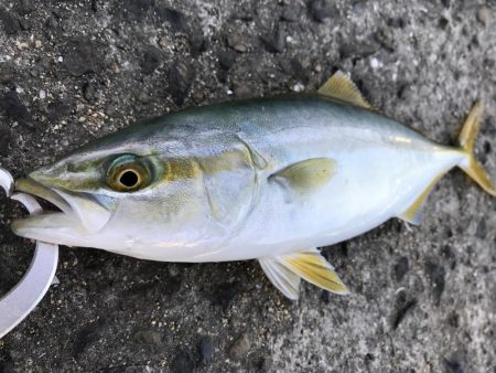 家族旅行の合間に