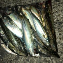 サビングっていうのかな?