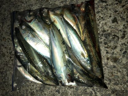 サビングっていうのかな?