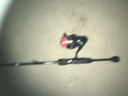 サビキとアジング