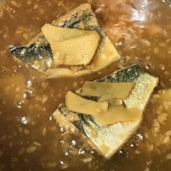 ショアジギング