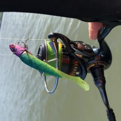 Vjでキビレ釣行