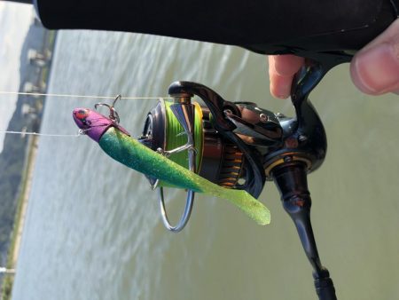 Vjでキビレ釣行