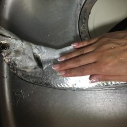 ワインドでドラゴン