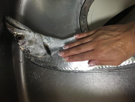 ワインドでドラゴン