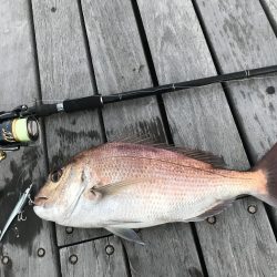 ショアジギング第1弾