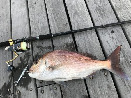 ショアジギング第1弾