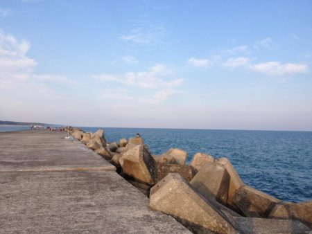 狙い絞ってサビキ！