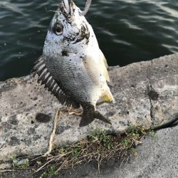 いいコンディションなのに