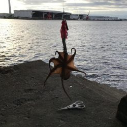 またタコ釣り