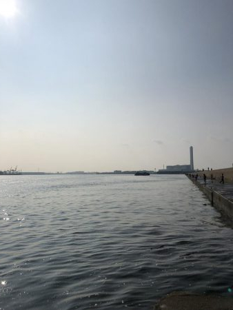 オクトパッシング