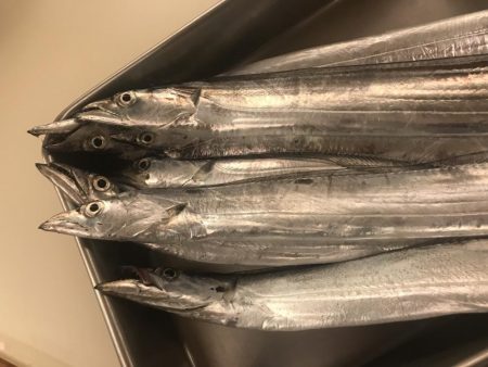 タチウオワインド