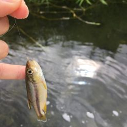 ええのん釣れた