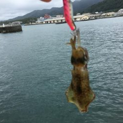 やっぱり小さい