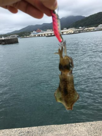 やっぱり小さい