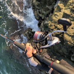 朝マズメ ライトショアジギング