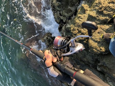 朝マズメ ライトショアジギング