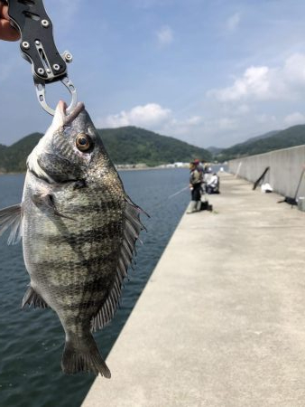 1年ぶりリベンジ釣行！