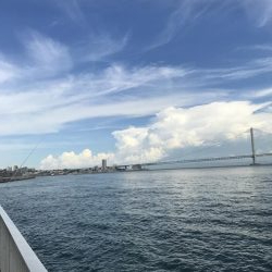 やっぱりアコウ