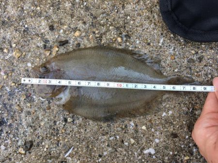 干潮潮止まり前高活性