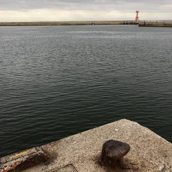 ママカリ再チャレンジ！！