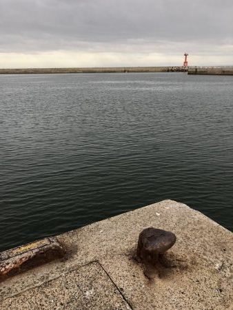 ママカリ再チャレンジ！！