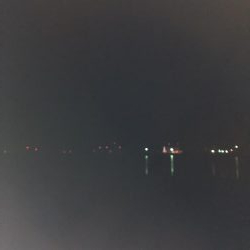 タチウオ小さい！