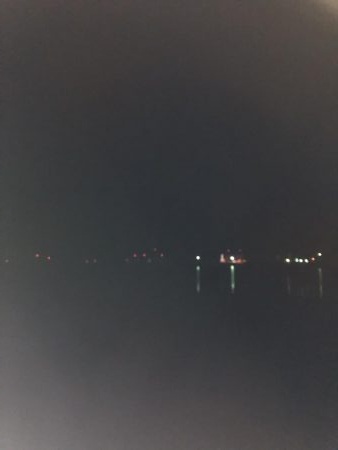 タチウオ小さい！