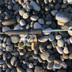 暑い中頑張ったっすよ？