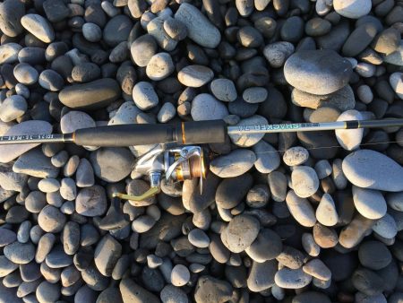 暑い中頑張ったっすよ？