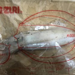 ケンサキ リベンジ