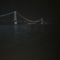 ソリッドティップでケンサキ！