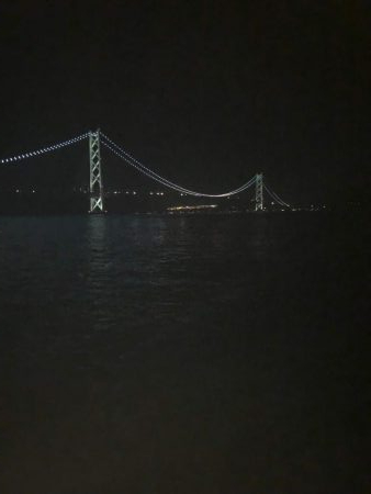 ソリッドティップでケンサキ！