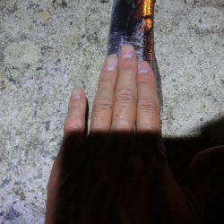 タチウオワインドでサゴシもGET