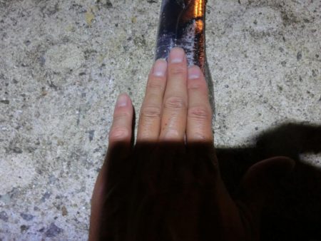 タチウオワインドでサゴシもGET