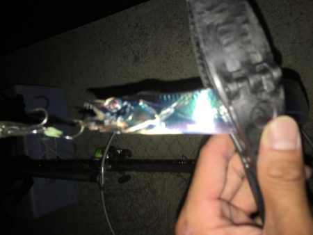 台風後のタチウオ&サゴシ!