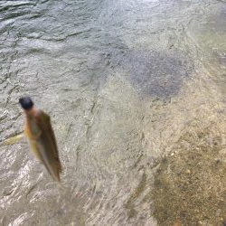 今日も行っちゃった