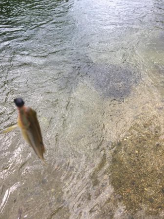 今日も行っちゃった