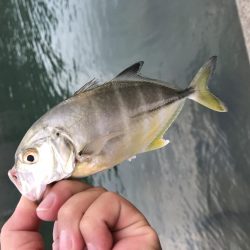 ランガンポッパー2nd