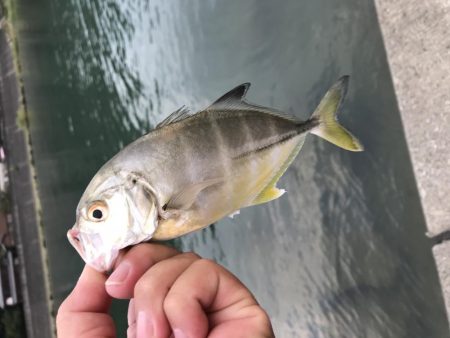 ランガンポッパー2nd