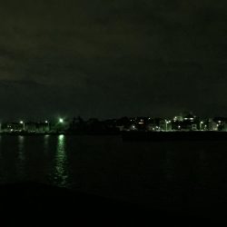 久々のガシラで嬉しかった。